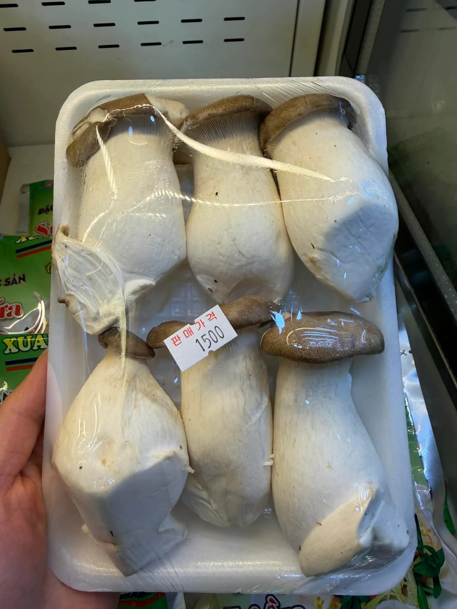 Nấm đùi gà (1 khay)