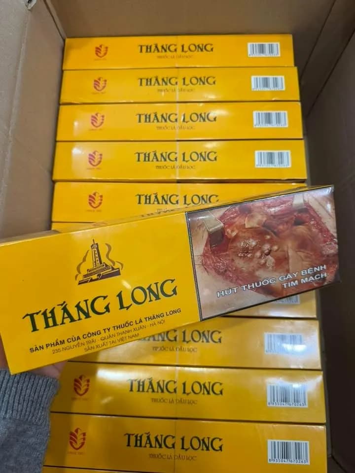 Thăng Long cứng(1 cây)