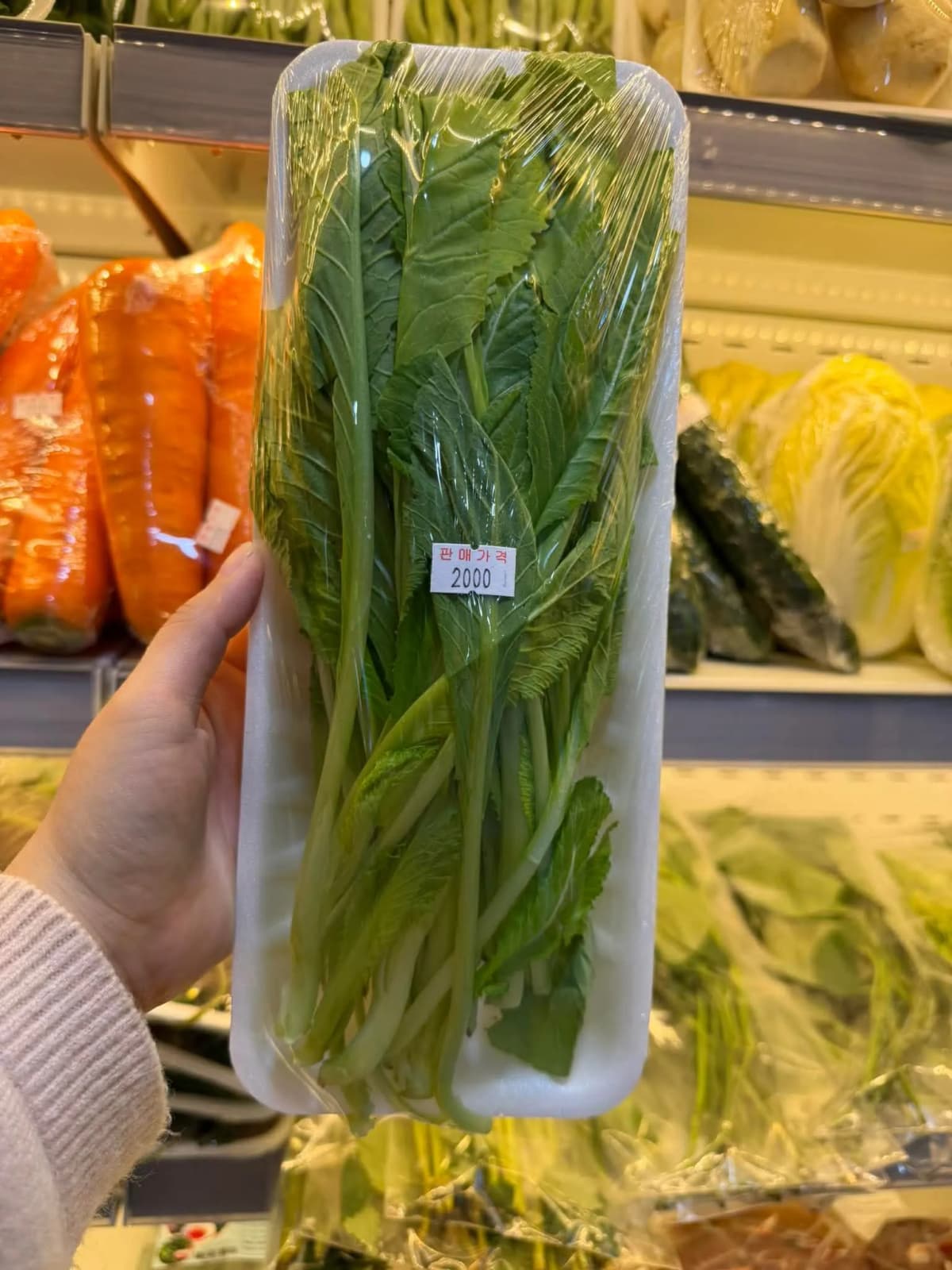 Cải đắng(1 khay)