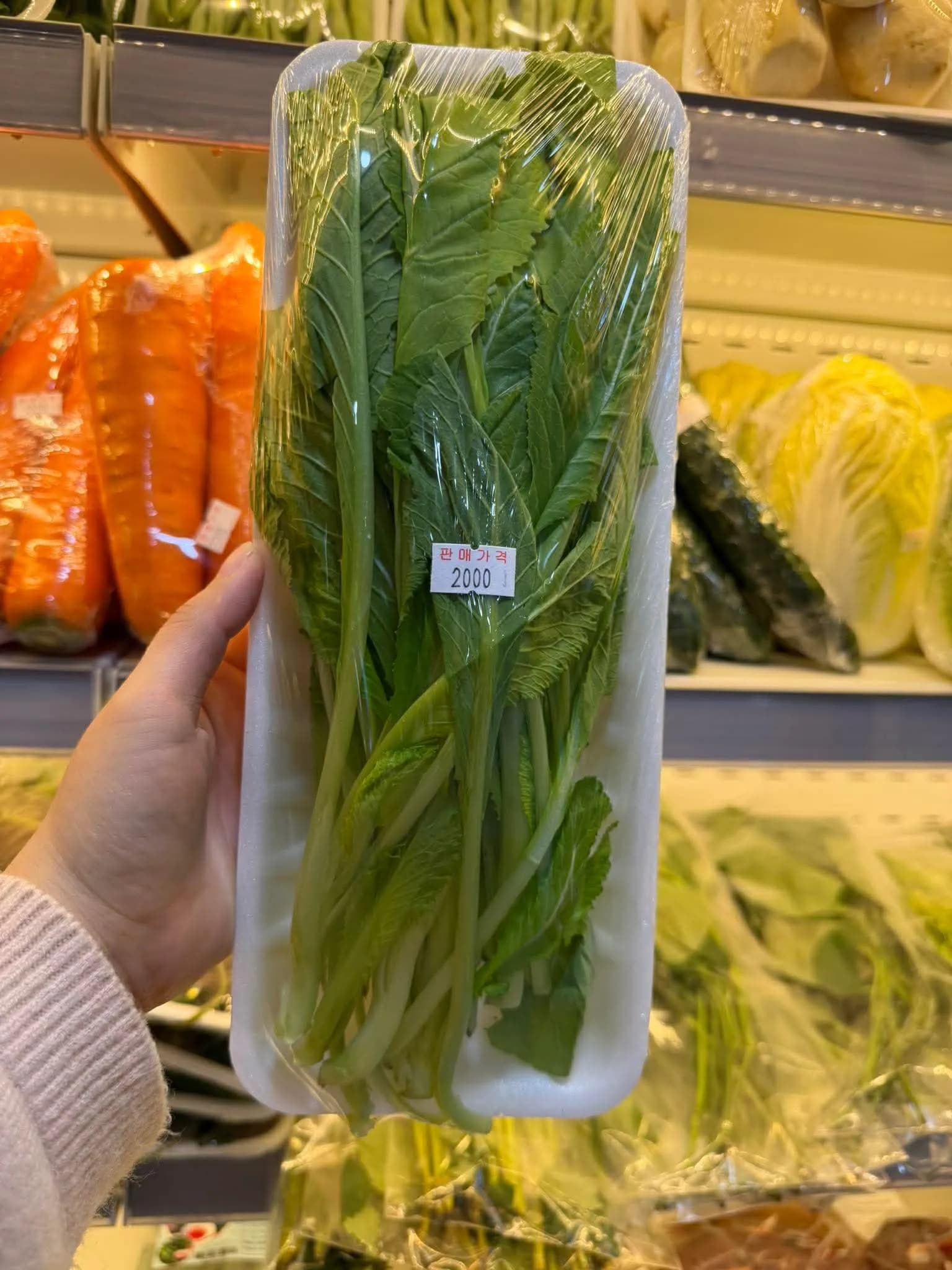 Cải đắng(1 khay)